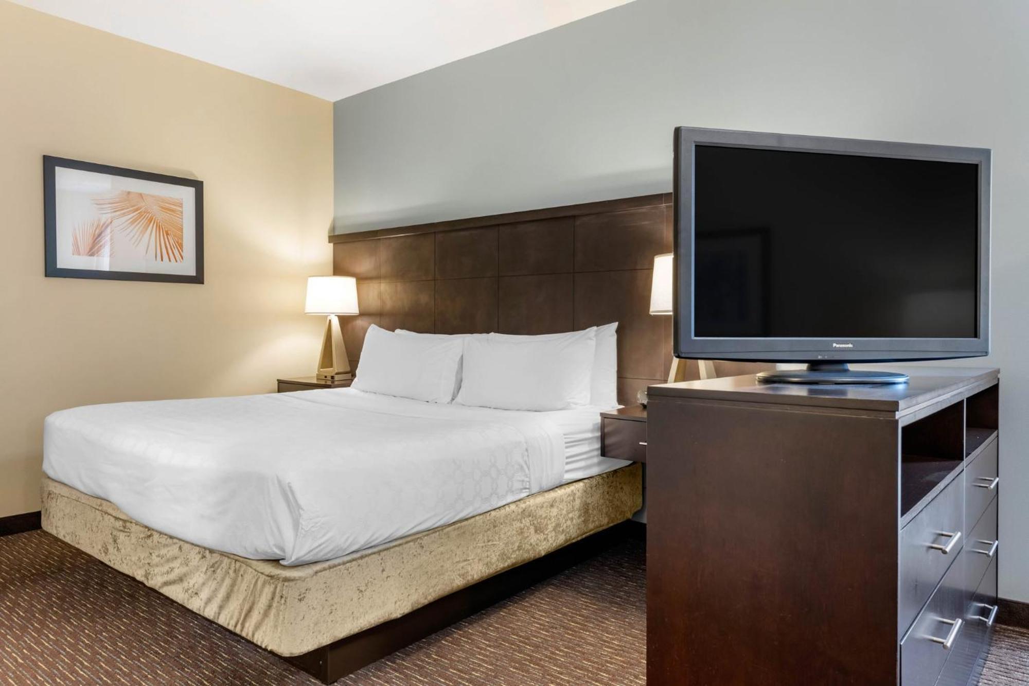 Staybridge Suites St. Petersburg Fl By Ihg Εξωτερικό φωτογραφία